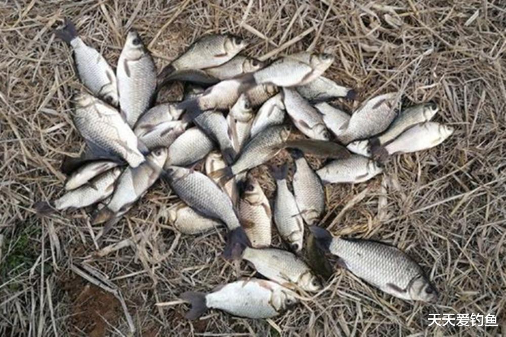 冬季野钓鲫鱼,“3选”得当是诀窍,天寒地冻也不走空