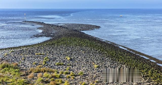 水库|夏季垂钓大草鱼，带上这几招出发，别错过草鱼黄金季节！