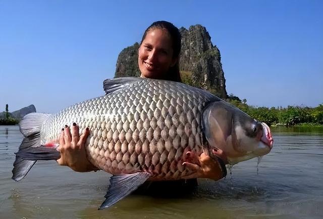 李大毛|因“盘老板”而出圈的邓刚,进入低迷期,泰国之旅能否再续辉煌?