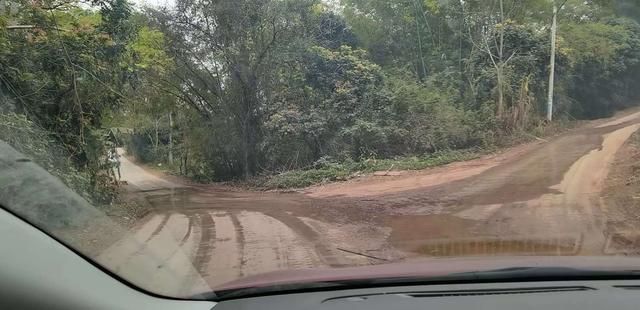 饵料|鱼口轻的情况下,应该如何应对?望各位大师不吝赐教