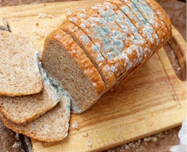 馒头|冷冻馒头不能吃,超过3天就会长黄曲霉素?不敢吃的都来看看