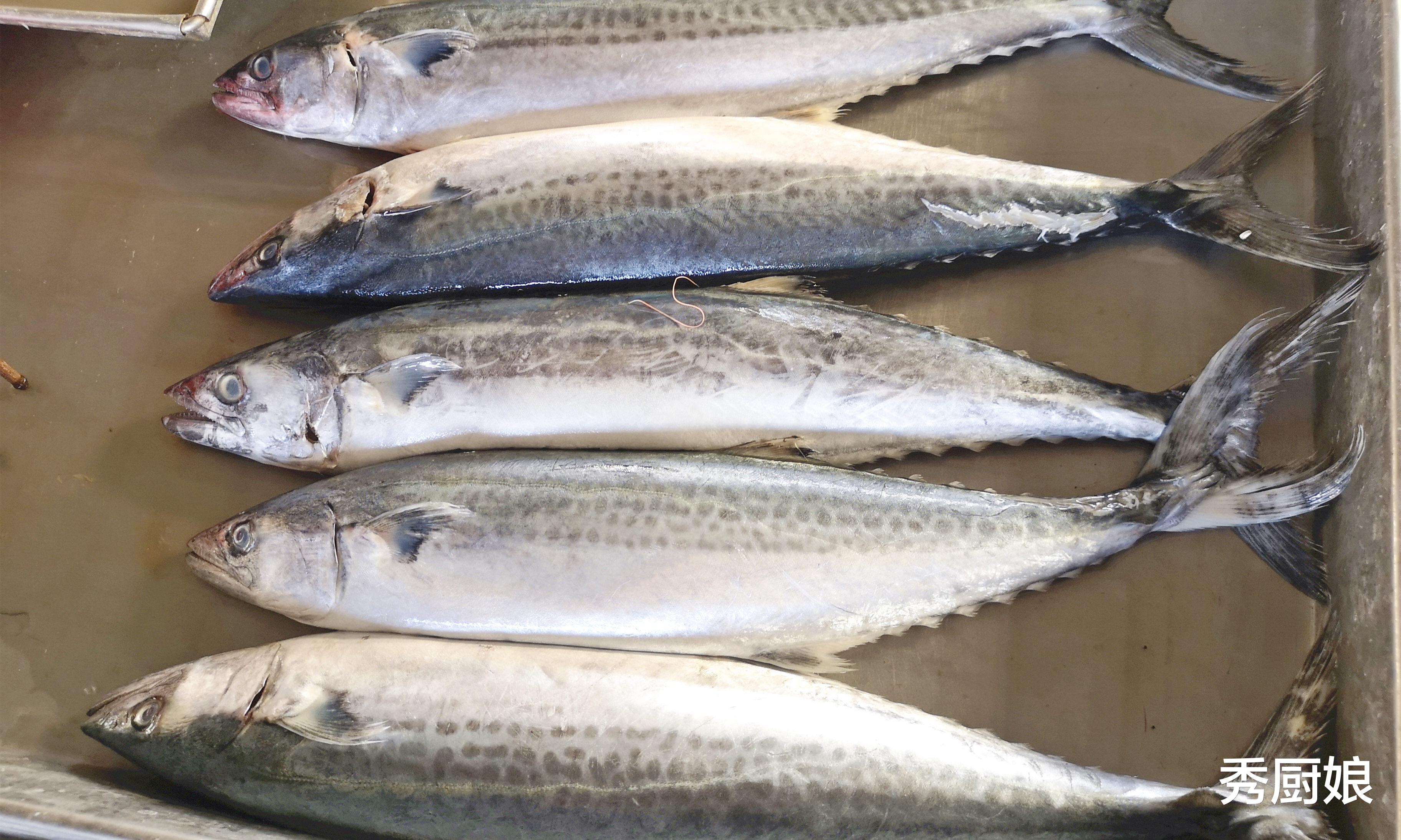 |过年买鱼时，建议这“4种鱼”不要买，尊重传统，幸福吉祥过大年