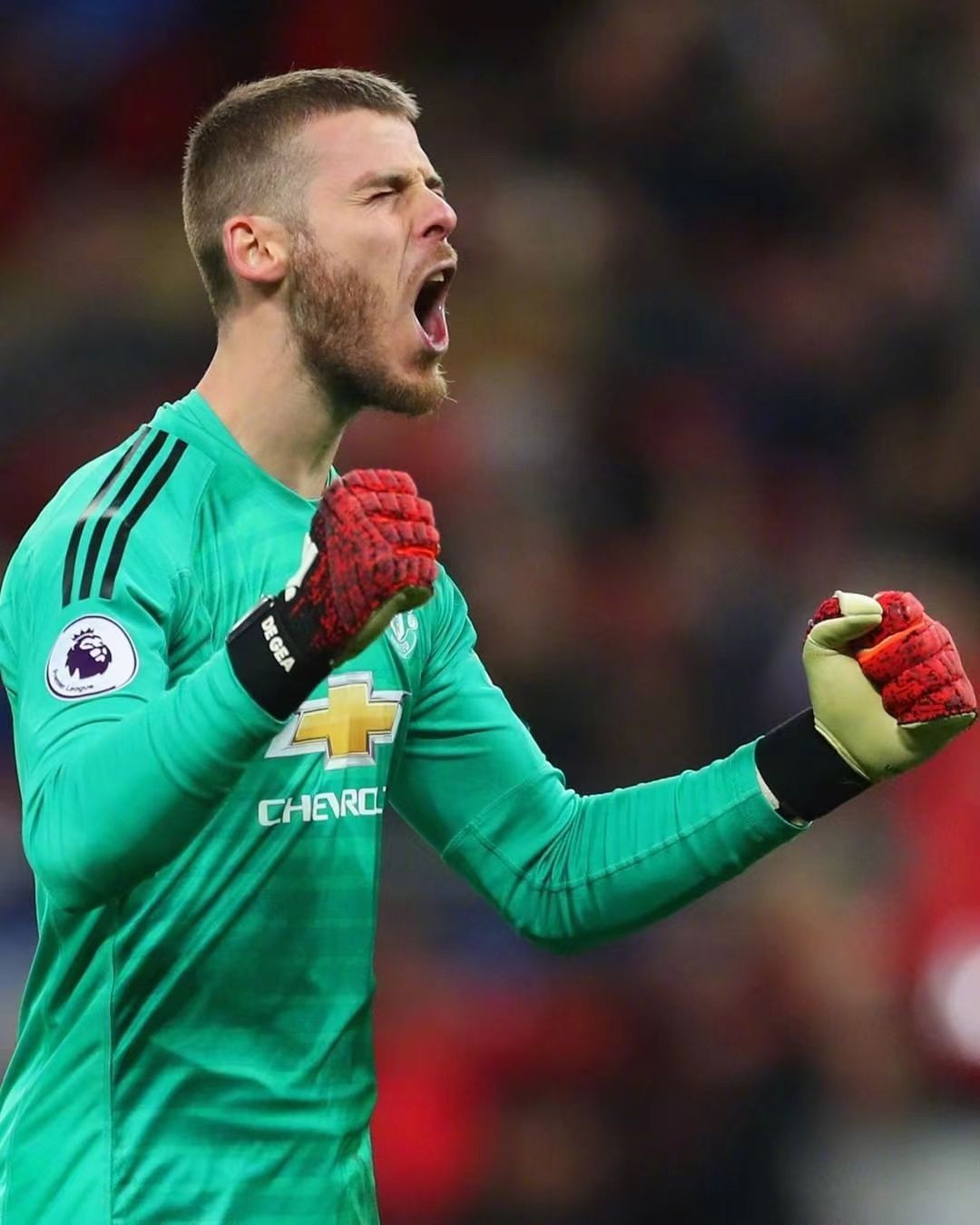 德赫亚去拜仁求职又失败了