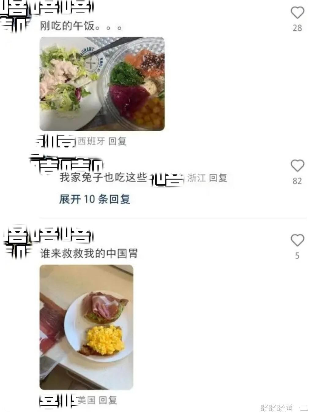 留学生|留学还是流放?留学生晒异国他乡吃的饭让人心疼,果然是中国胃!