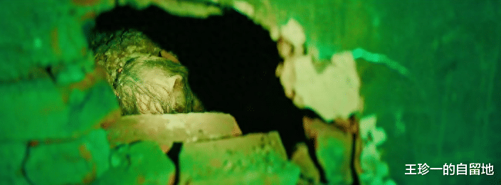 电影《坚如磐石》中的20个细节,知道这些,三刷电影都还不过瘾!