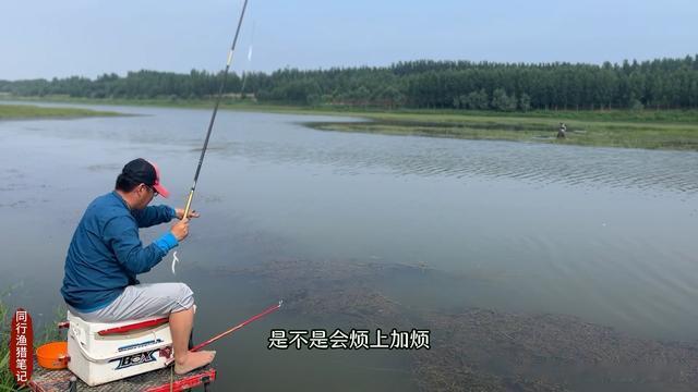 饵料|饵料像跳舞一样下不了底，别着急收竿，换种钓饵鱼满篓！