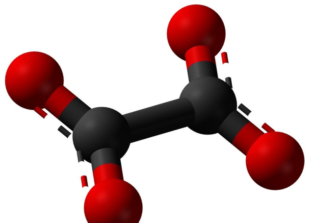 牛都不吃的农村野草，为何古人视若珍宝，还称呼它为“金不换”？
