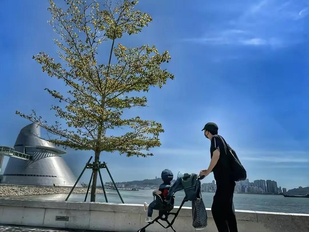 王阳一家三口同框,推婴儿车奶爸范十足,2岁女儿眼睛大大好可爱