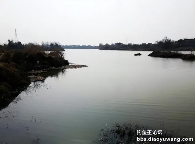 大板|野河最靓的板鲫