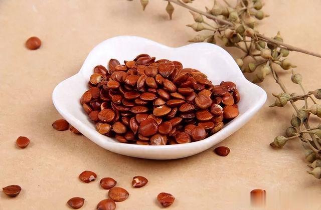 一个速睡方，一补心血，二养心神！失眠多梦、心悸心慌都可用！