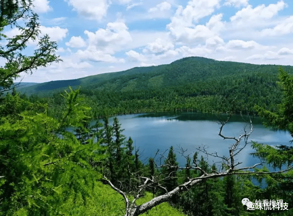 阿尔山|中国最小的县级市，秋天美景的天花板，看完照片就想辞职去旅行！