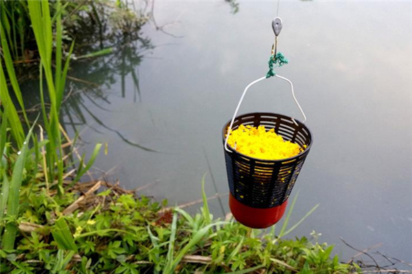 |俗话说“近打窝子远钓鱼”,我反其道而行之却钓得不亦乐乎