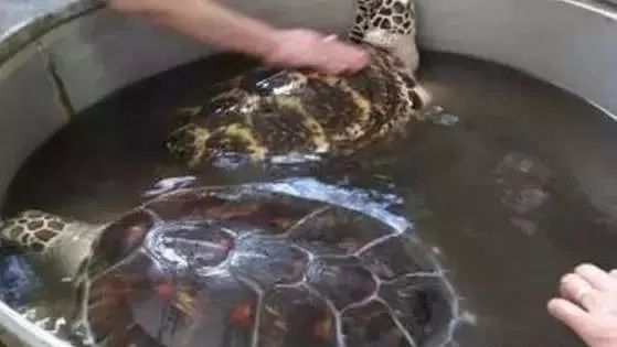 文玩人绝不能碰的底线