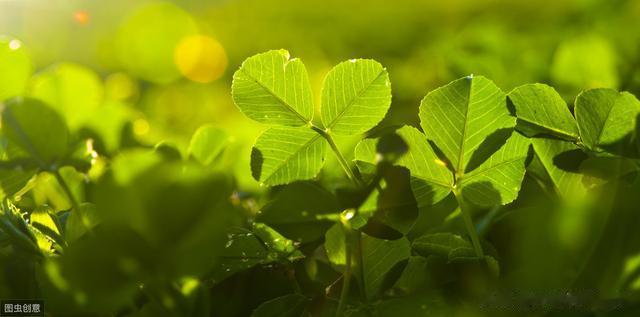 穴位|身体湿热怎么办?中医:教你推拿按摩这6个穴位解决烦恼