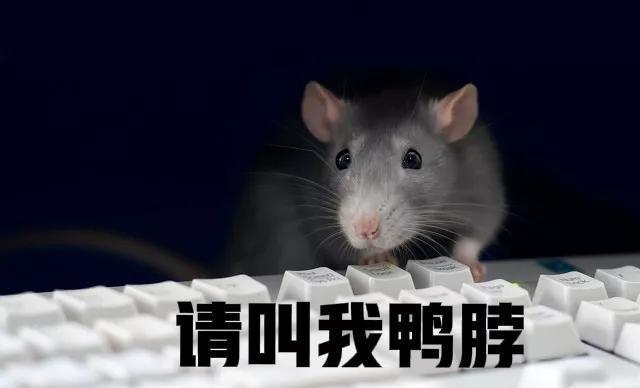 鸭脖|“鸭脖”学校菜里又吃出超级大青虫，这次不是鸭脖，是一个泡椒！