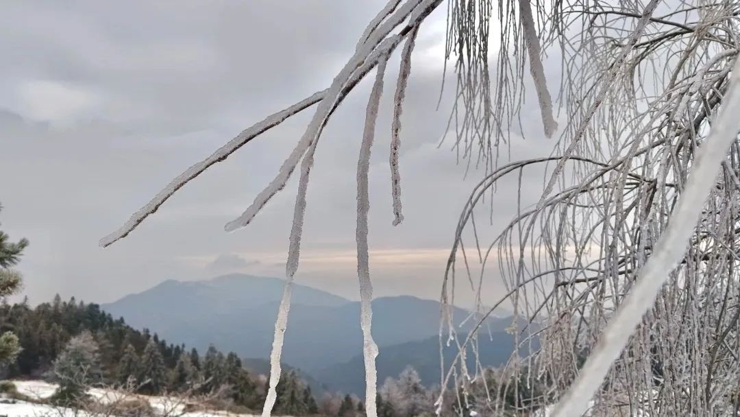 武功山|“冻”真格！龙门秘境草山岗再现雾凇冰挂！
