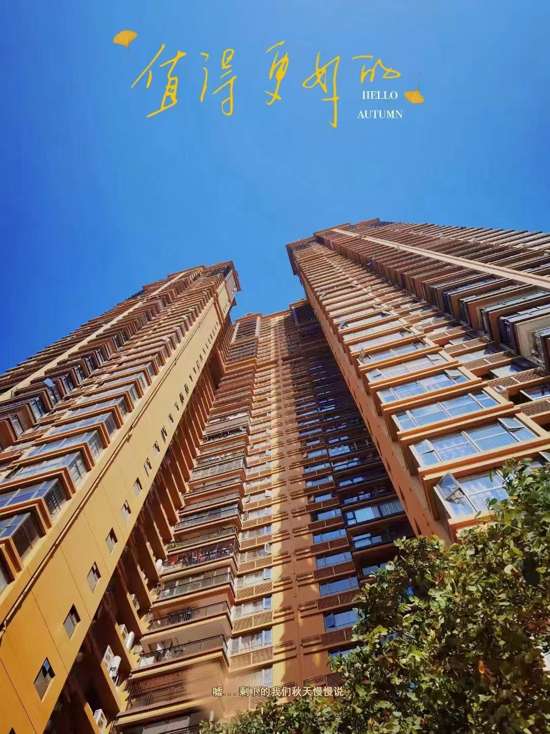 国企|我的国企生涯(一)