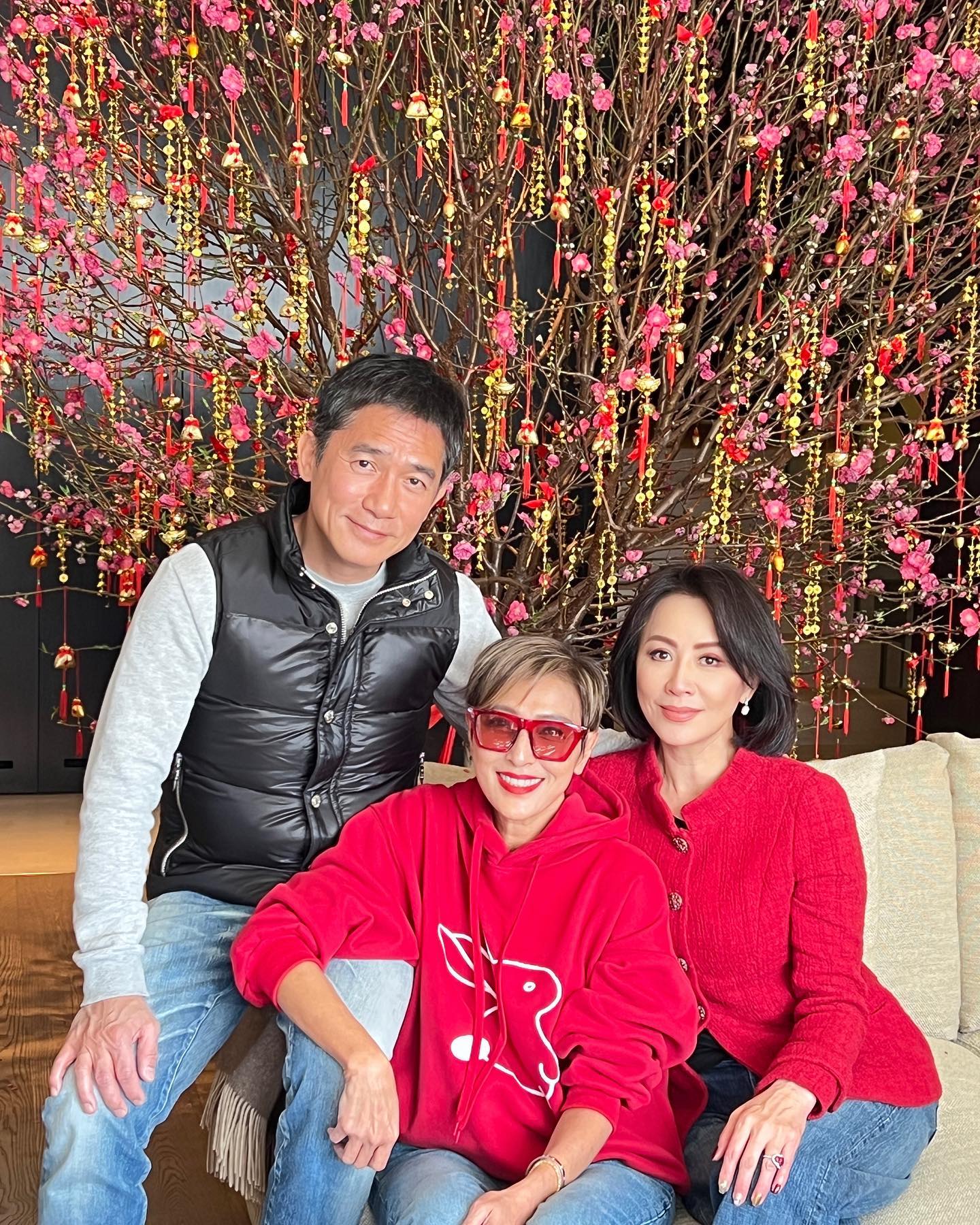 春节档|众星过年:撒贝宁老了五六岁,张纪中媳妇脸部变样,汪峰头秃顶了