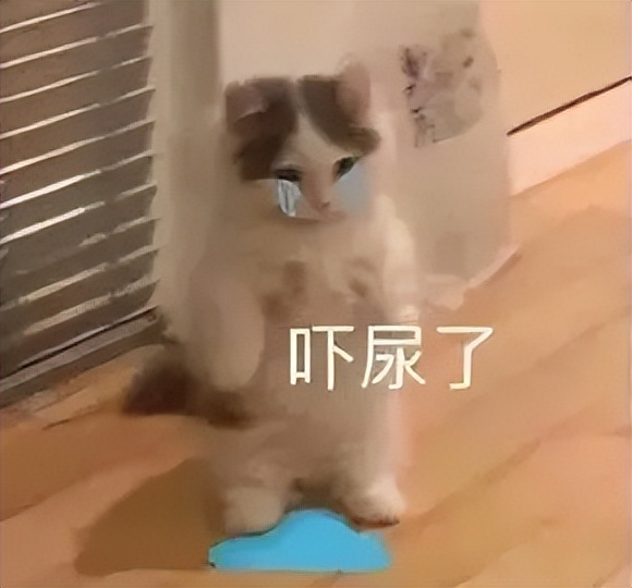 顶流vs顶流，当初鹿晗关晓彤官宣，也就这个炸度了吧！