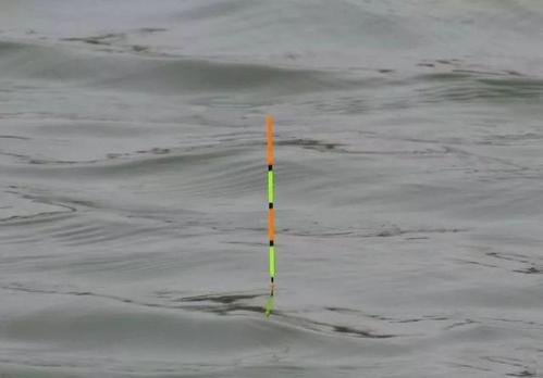 |钓鱼三十六计——钓鱼高手的必修课(下)