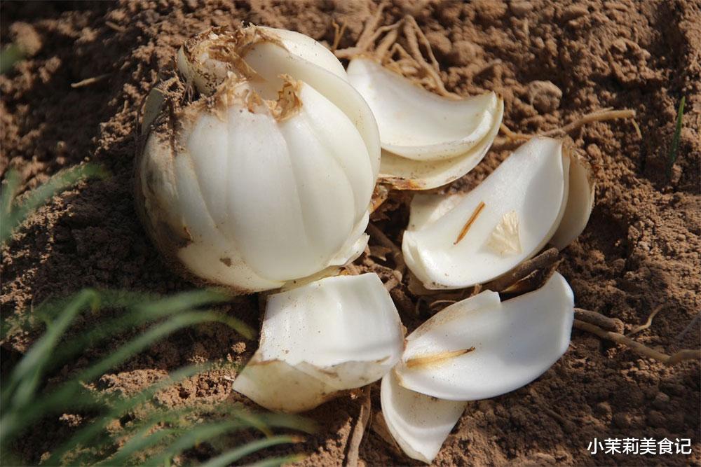 美食教程|“立秋吃3白，一年病不来”，指哪3白？8月8日立秋，老传统别丢了