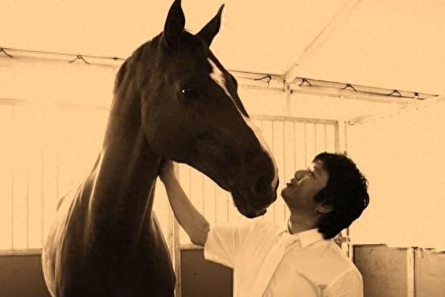 《孤注一掷》热映,跳过美女荷官金晨,我被53岁女三号迷住了