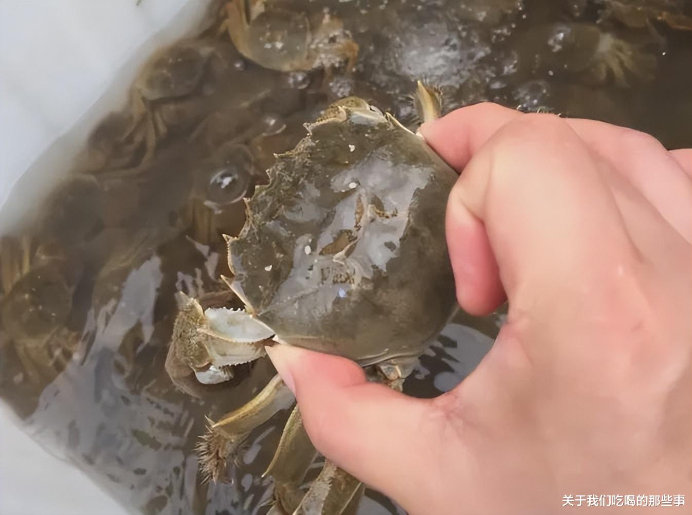 |买螃蟹，公蟹和母蟹区别大！牢记3买3不买，螃蟹个个新鲜顶盖肥