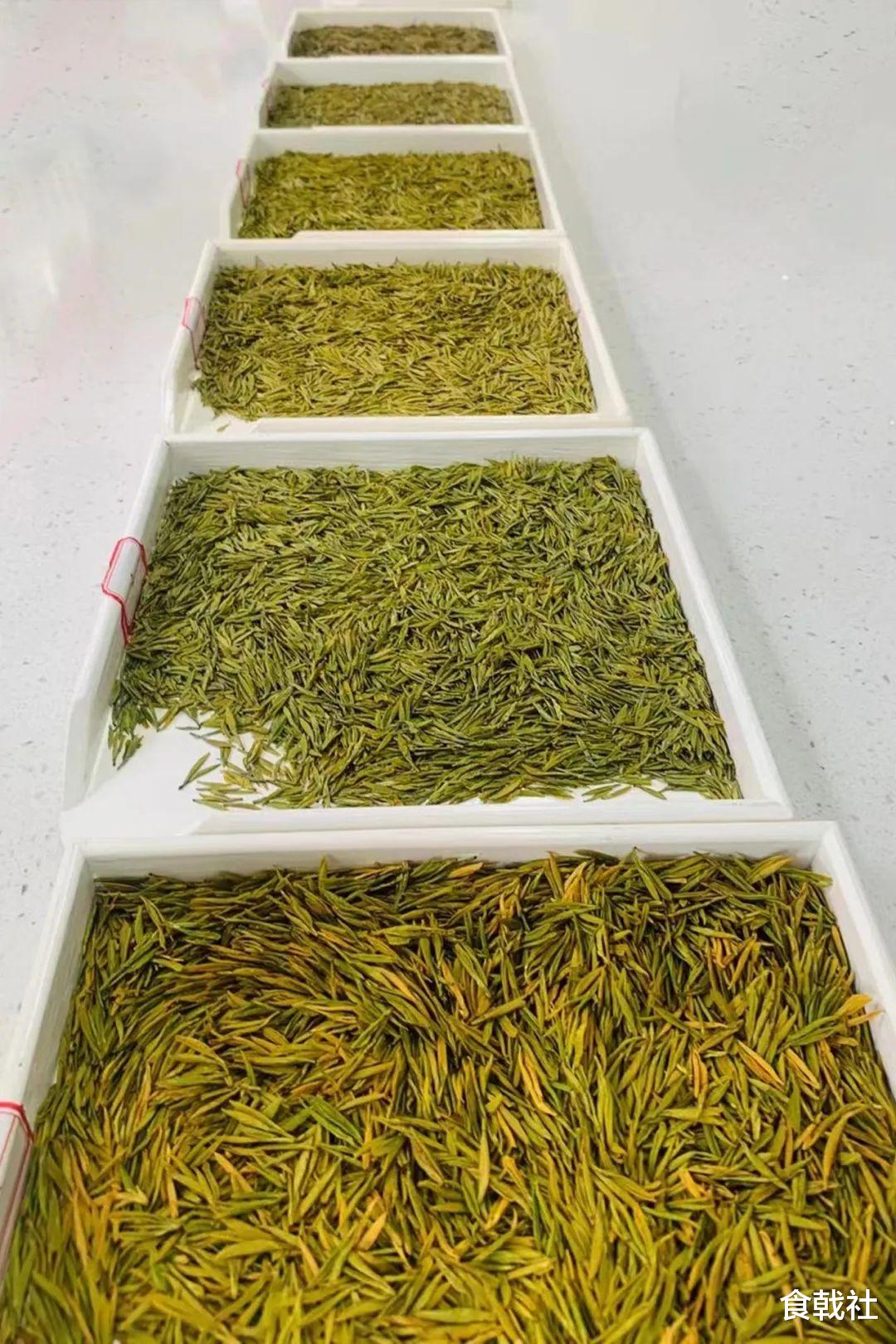 美食文化|中国最会享受生活的城市，到底有多安逸？