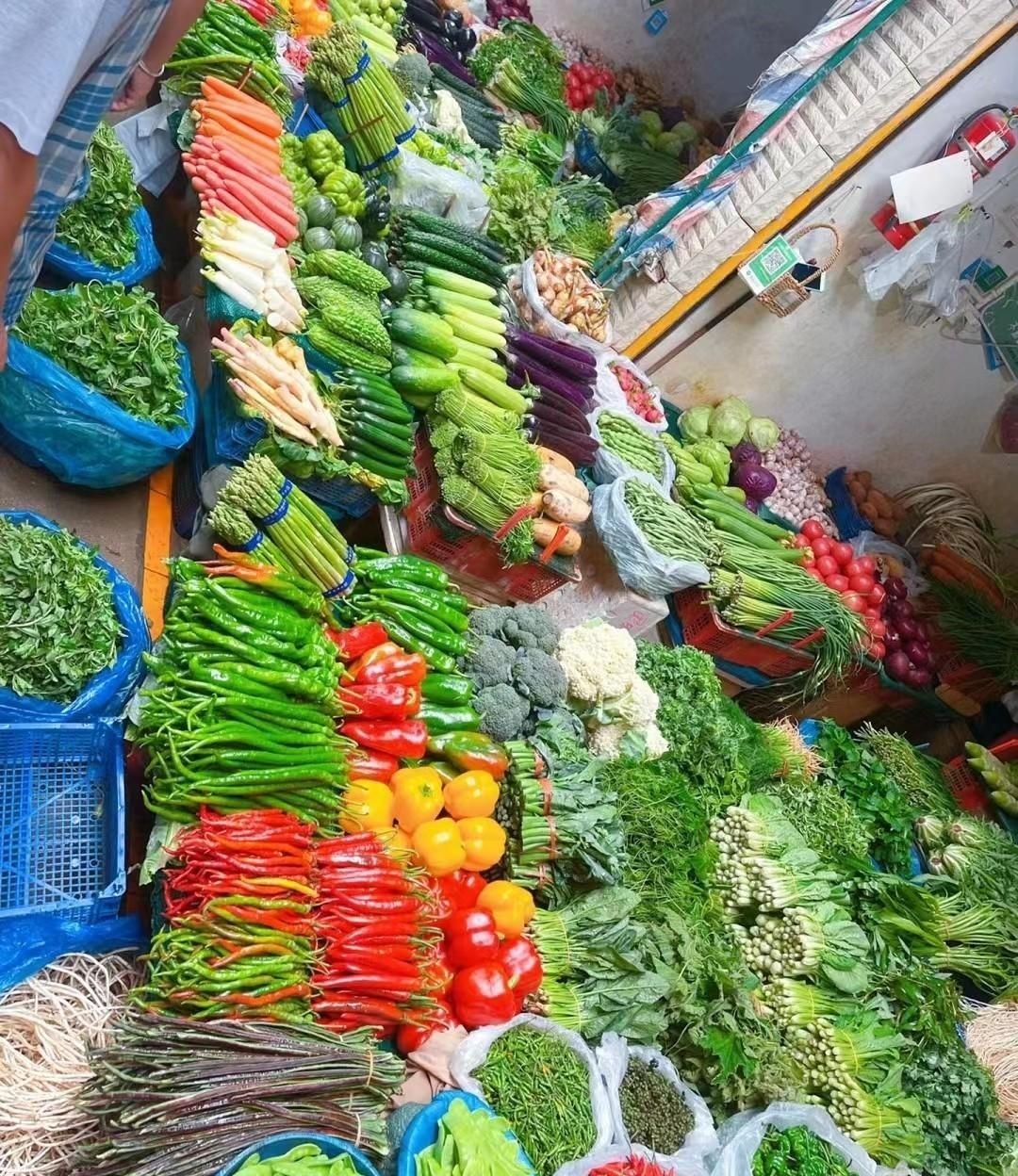 广东省|广东菜市场到底有多离谱,东北姑娘说说大实话,10个事实来讲明白