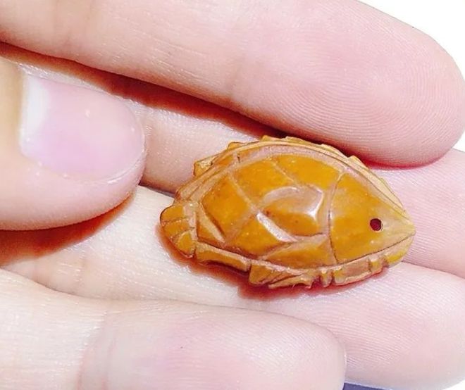 听说杏也可以做文玩