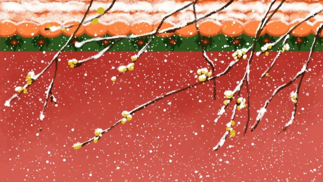 土豆|11月22日小雪节气，这4道“黄金菜”常吃，好吃还不贵