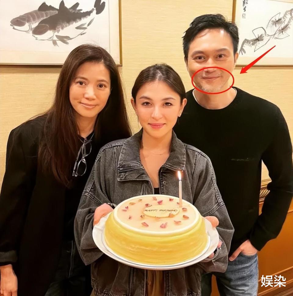 |张智霖和袁咏仪的“恩爱”,撕开了婚姻的“假面”