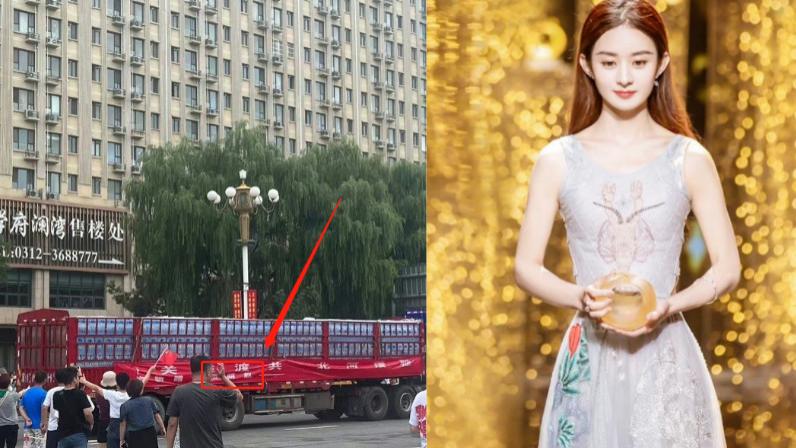 赵丽颖向河北农村捐物资被骂，村里群聊天记录曝光，扒出更多内幕