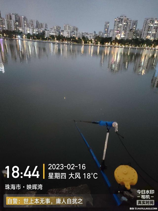 鲤鱼|给鱼尝尝肥宅快乐水，前有花河豚后有靓鲤鱼