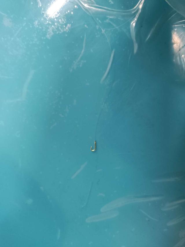 夜钓|细小鱼钩手工绑制技巧!