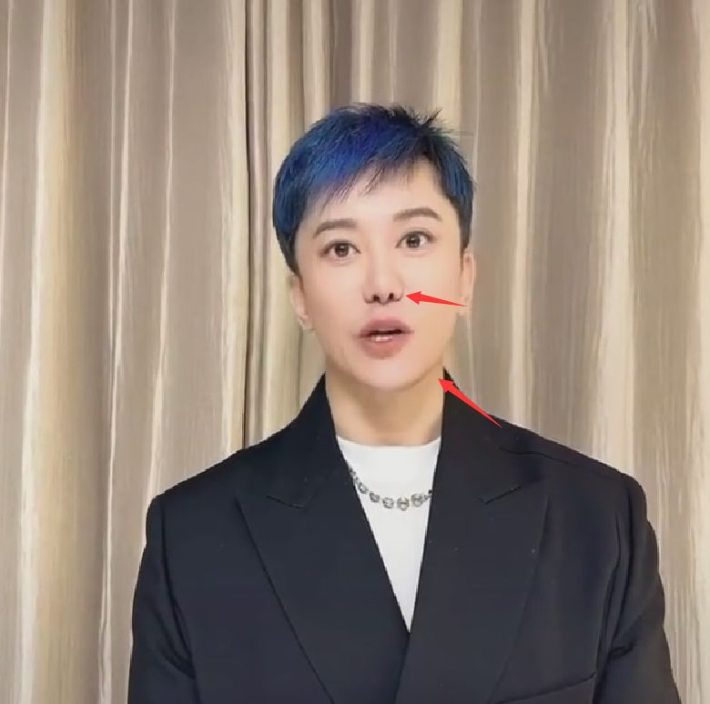 毛宁|53岁毛宁近照曝光，说话嘴歪鼻子奇怪，模样大变撞脸李宇春