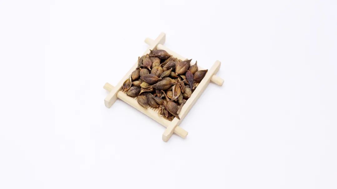 一味奇妙中药，散结节是灵丹，散风热是妙药，治疮疡是圣药，真棒