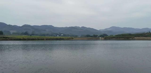 饵料|鱼口轻的情况下,应该如何应对?望各位大师不吝赐教