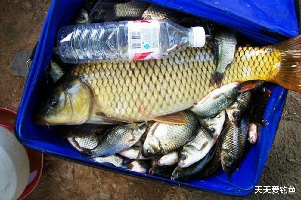 |夏天夜钓，大鱼靠边的5种钓位，钓获大鱼更容易