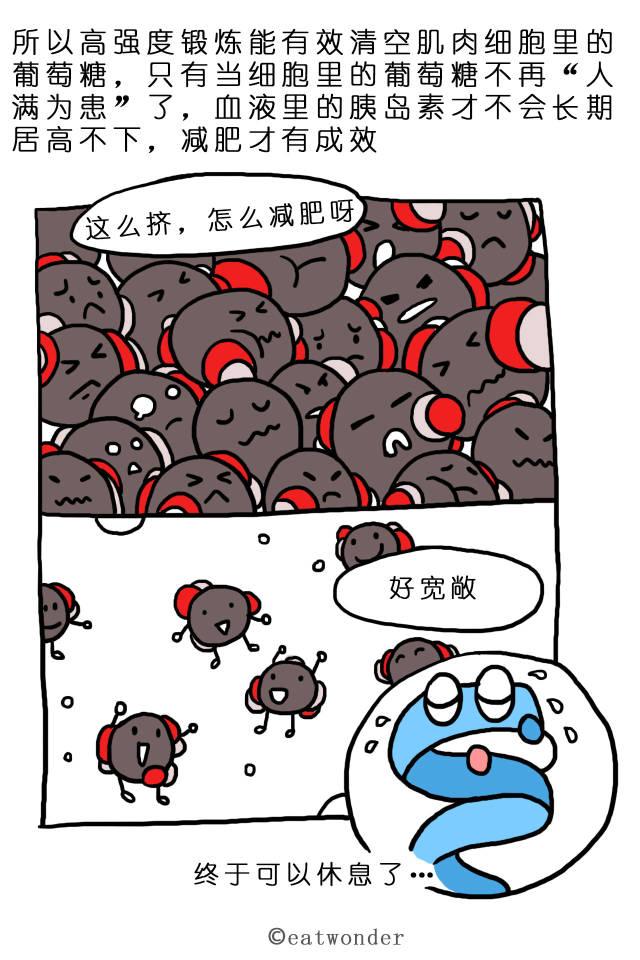 这就是为什么你少吃多运动，还不见瘦的原因！