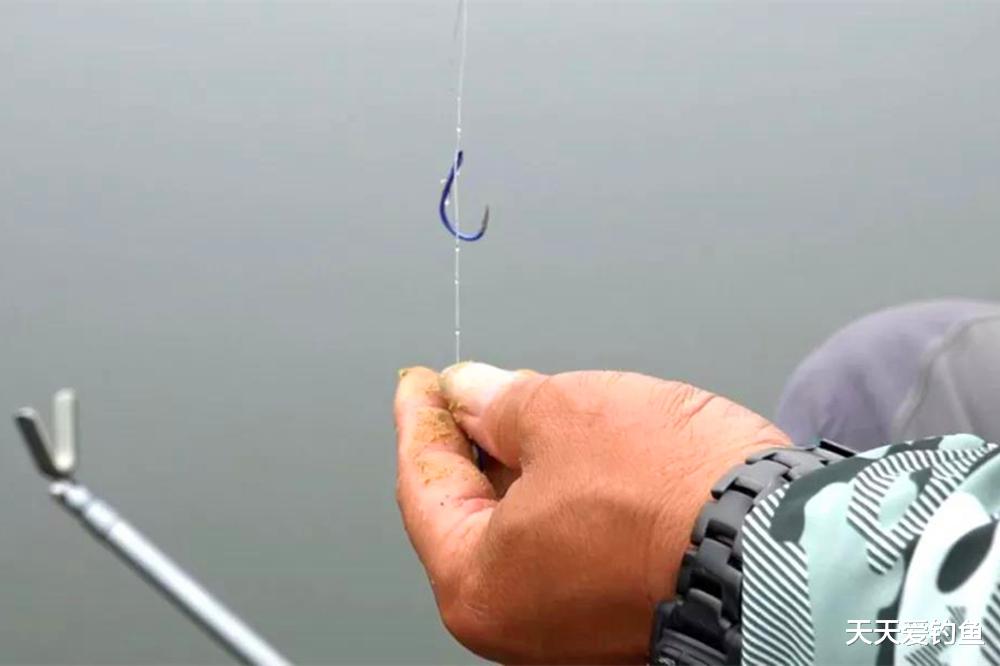 饵料|都是调4钓2,或者都是调平水钓2目,灵钝是相同的吗?