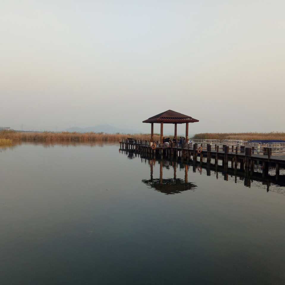 向往的生活|《向往的生活》第七季开播，也将是最后一季，你有什么期待呢