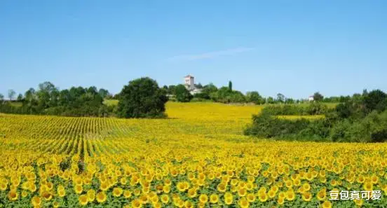 山东省|中年失业,找工作己淡然,一切随缘!