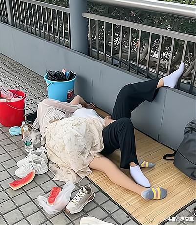 蚊子|回顾打工妹做网红失败,穿着纱裙在天桥躺平,被蚊子咬也不进工厂