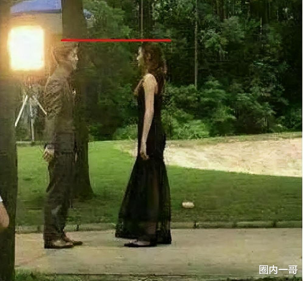 长得玉树临风，却输在“个子矮”上，这几位男星的身高太不懂事了