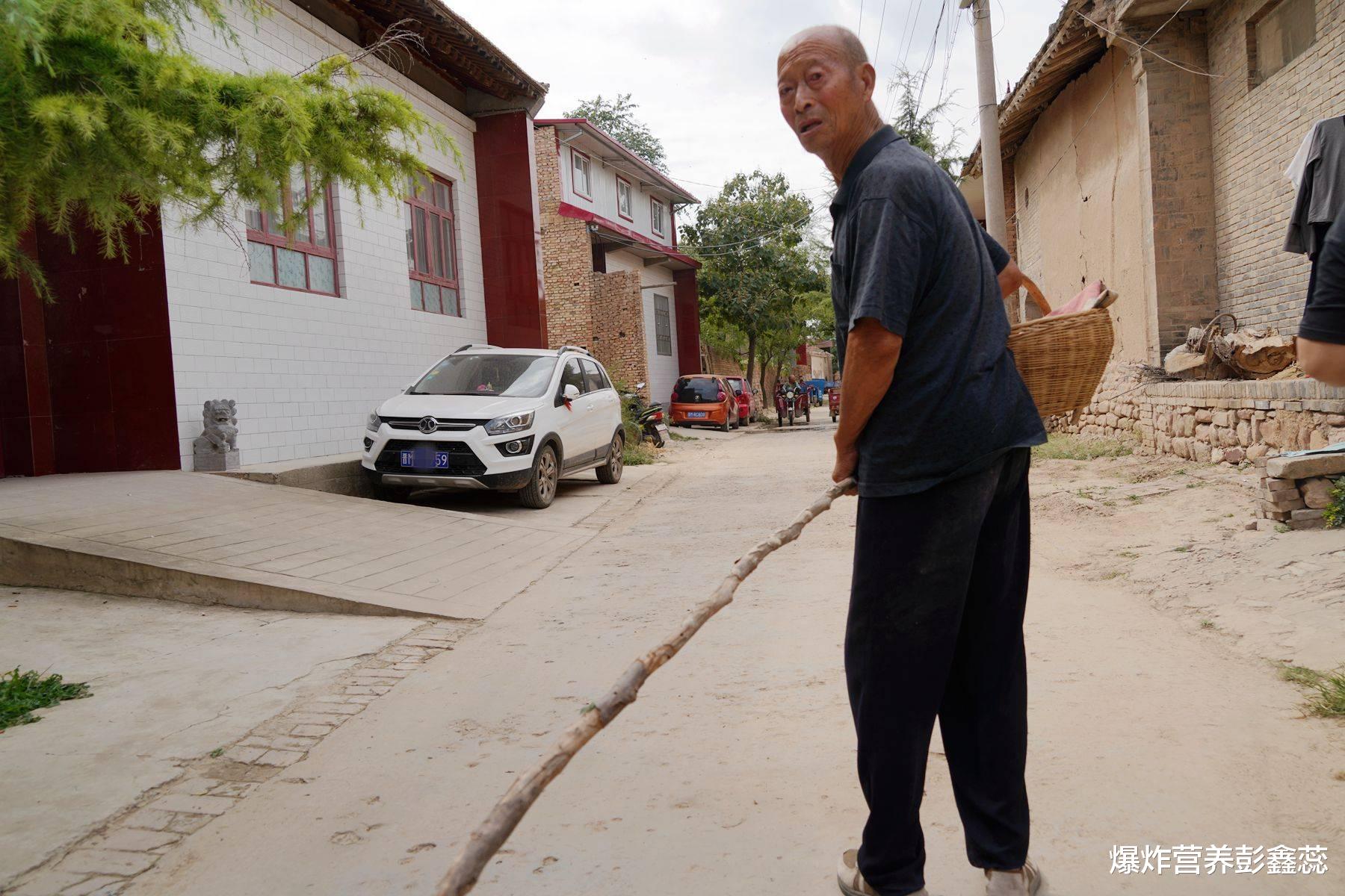 “休息”才是最好的运动方式?北大长寿教授告诉你,养生的秘诀