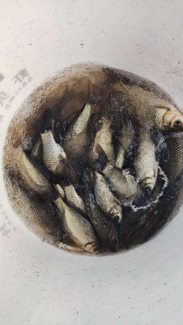 路亚竿|【钓鱼之家虾粉】冬去春来又到钓鱼季