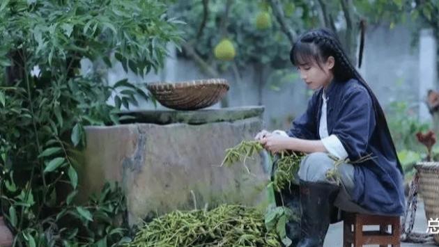 李子柒已消失一整年，如今现状远比你想象得更惨