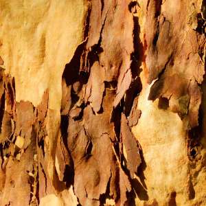 日新月异好物数码