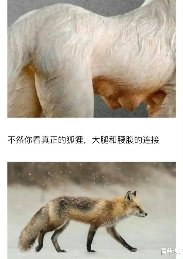 《封神》再惹争议,九尾狐海报太低俗,被批是九奶狐